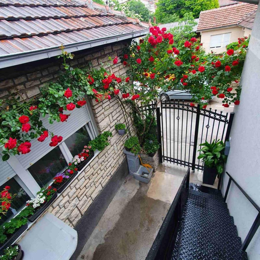 Fortress Apartments Ni Екстериор снимка
