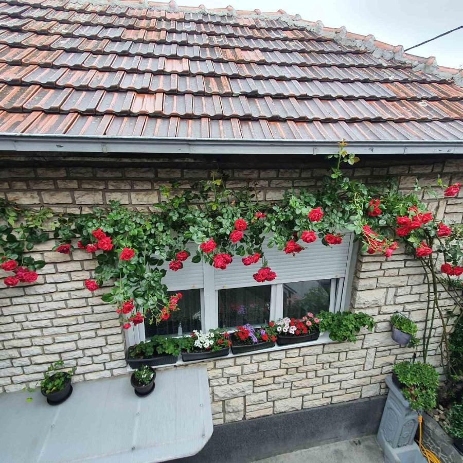 Fortress Apartments Ni Екстериор снимка